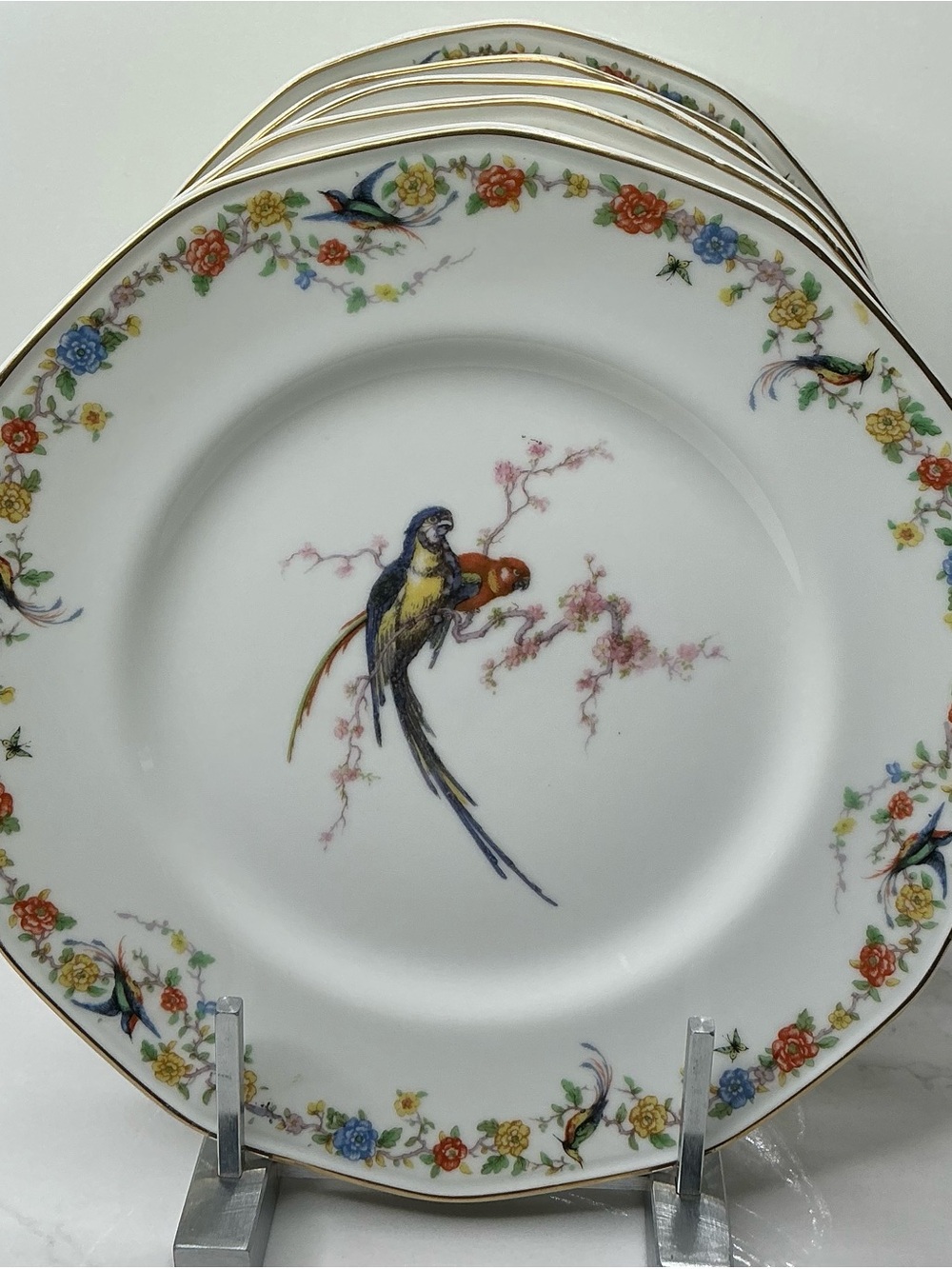 5 Dinner Plates Fine Theodore Haviland Limoges ARCADIA Bird of Paradise Preloved